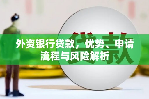 田寮外资银行贷款，优势、申请流程与风险解析