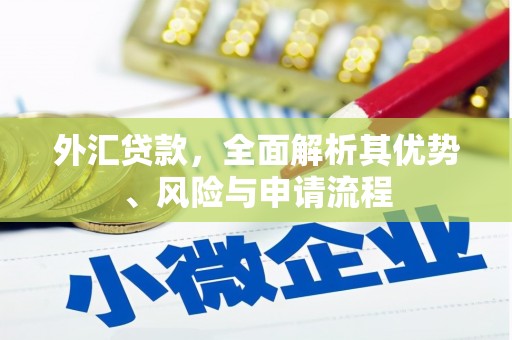田寮外汇贷款，全面解析其优势、风险与申请流程
