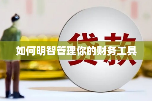 田寮如何明智管理你的财务工具