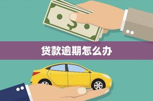 田寮贷款逾期怎么办