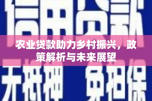 田寮农业贷款助力乡村振兴，政策解析与未来展望