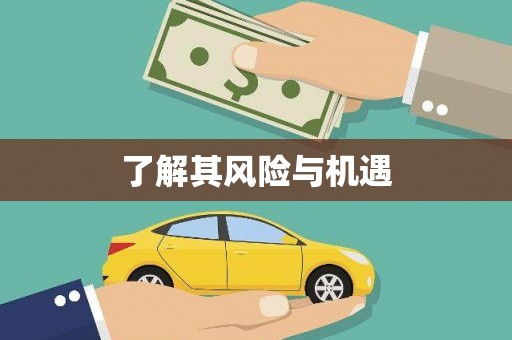 田寮了解其风险与机遇