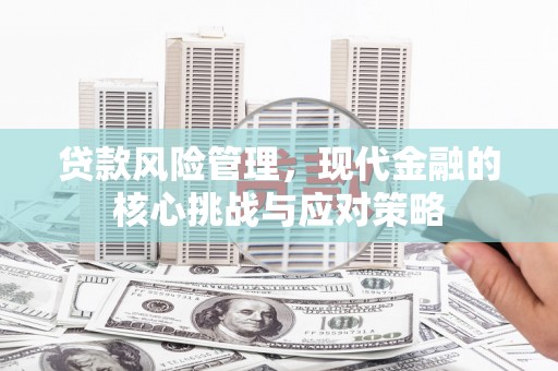田寮贷款风险管理，现代金融的核心挑战与应对策略