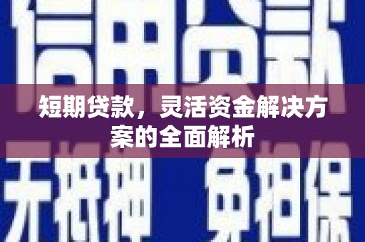 田寮短期贷款，灵活资金解决方案的全面解析