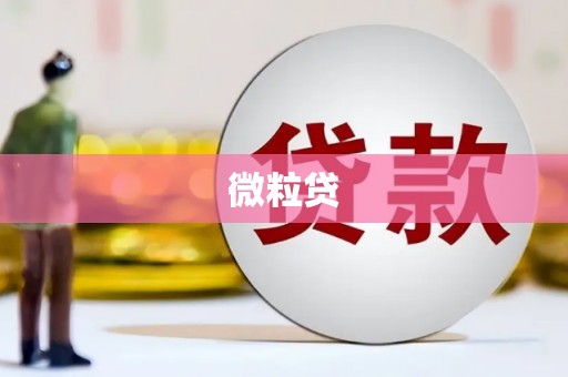 田寮微粒贷