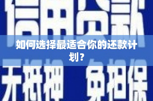 田寮如何选择最适合你的还款计划？