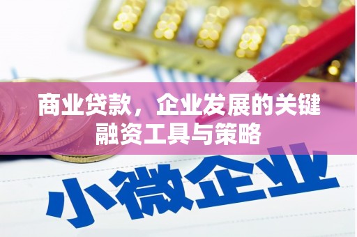 田寮商业贷款，企业发展的关键融资工具与策略