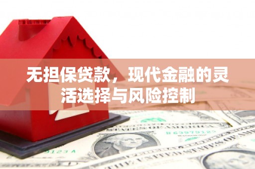 田寮无担保贷款，现代金融的灵活选择与风险控制