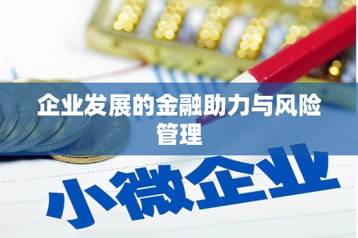 田寮企业发展的金融助力与风险管理