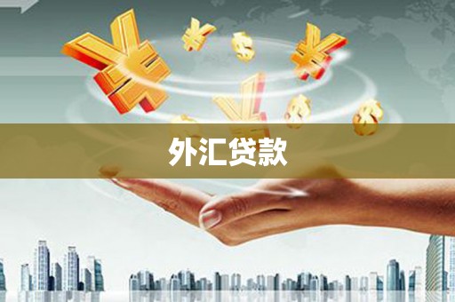 田寮外汇贷款