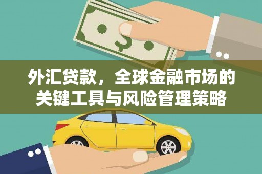 田寮外汇贷款，全球金融市场的关键工具与风险管理策略