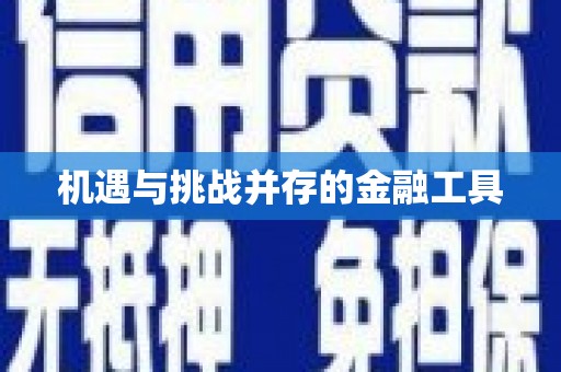 田寮机遇与挑战并存的金融工具