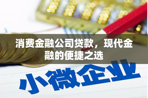 田寮消费金融公司贷款，现代金融的便捷之选