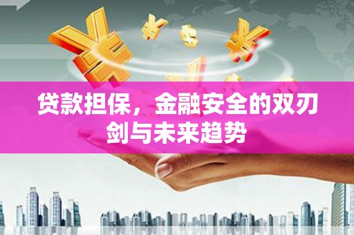 田寮贷款担保，金融安全的双刃剑与未来趋势
