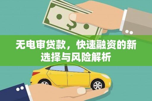 田寮无电审贷款，快速融资的新选择与风险解析