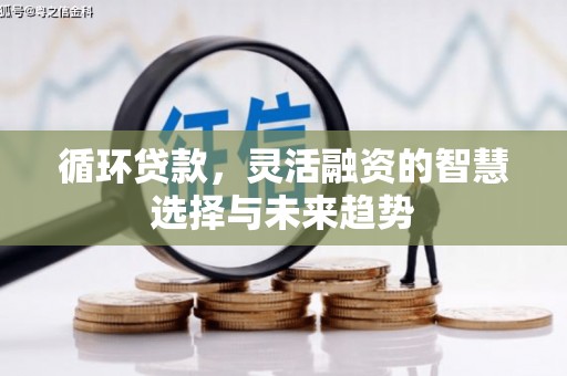田寮循环贷款，灵活融资的智慧选择与未来趋势