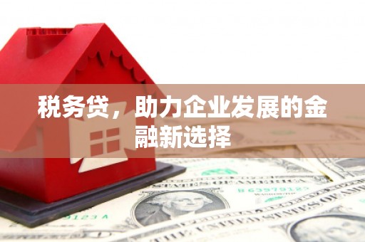 田寮税务贷，助力企业发展的金融新选择