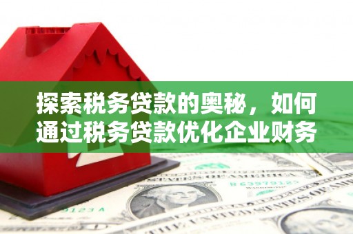 田寮探索税务贷款的奥秘，如何通过税务贷款优化企业财务