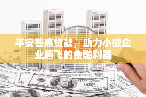 田寮平安普惠贷款，助力小微企业腾飞的金融利器
