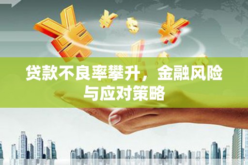田寮贷款不良率攀升，金融风险与应对策略