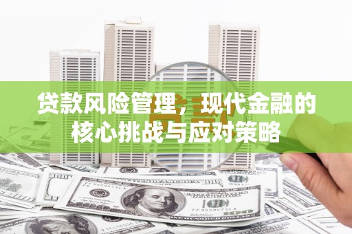 田寮贷款风险管理，现代金融的核心挑战与应对策略