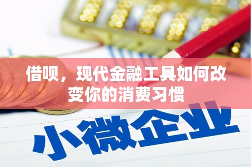 田寮借呗，现代金融工具如何改变你的消费习惯