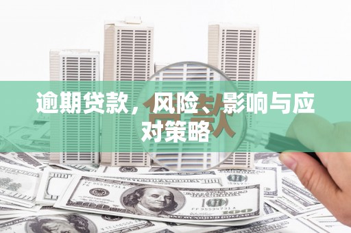 田寮逾期贷款，风险、影响与应对策略