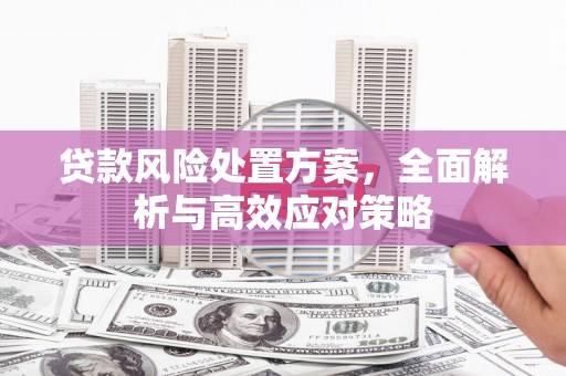 田寮贷款风险处置方案，全面解析与高效应对策略