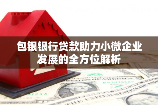 田寮包银银行贷款助力小微企业发展的全方位解析