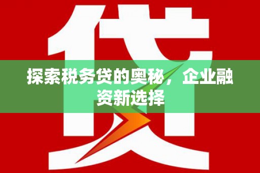 田寮探索税务贷的奥秘，企业融资新选择