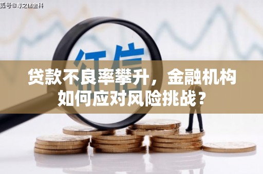 田寮贷款不良率攀升，金融机构如何应对风险挑战？