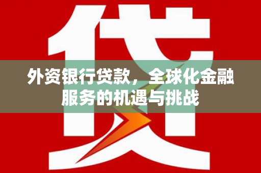 田寮外资银行贷款，全球化金融服务的机遇与挑战
