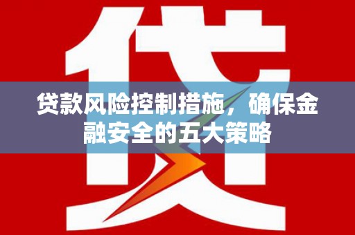 田寮贷款风险控制措施，确保金融安全的五大策略
