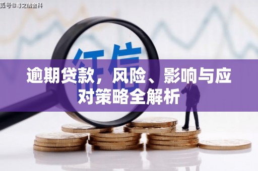 田寮逾期贷款，风险、影响与应对策略全解析