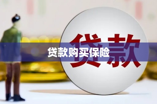 田寮贷款购买保险