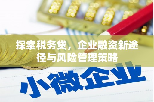 田寮探索税务贷，企业融资新途径与风险管理策略