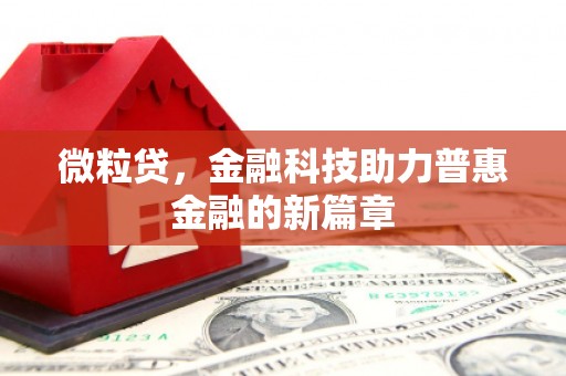 田寮微粒贷，金融科技助力普惠金融的新篇章
