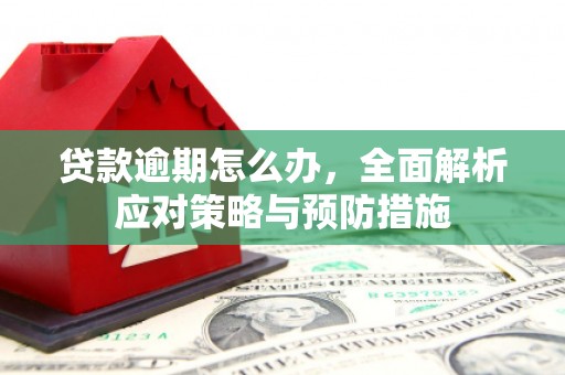 田寮贷款逾期怎么办，全面解析应对策略与预防措施