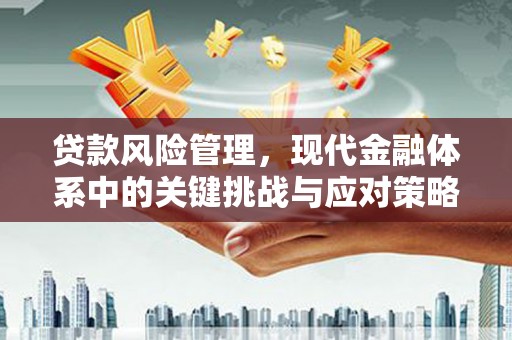 田寮贷款风险管理，现代金融体系中的关键挑战与应对策略