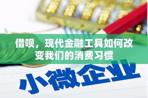田寮借呗，现代金融工具如何改变我们的消费习惯