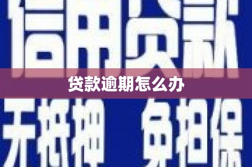 田寮贷款逾期怎么办