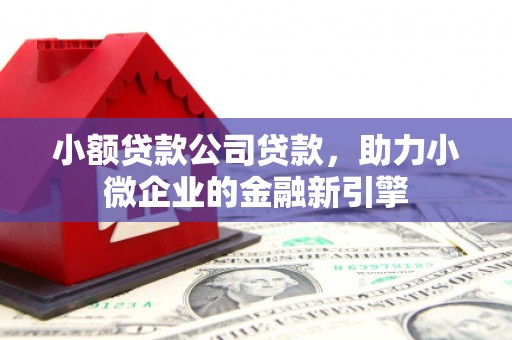 田寮小额贷款公司贷款，助力小微企业的金融新引擎