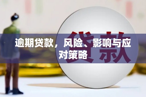 田寮逾期贷款，风险、影响与应对策略