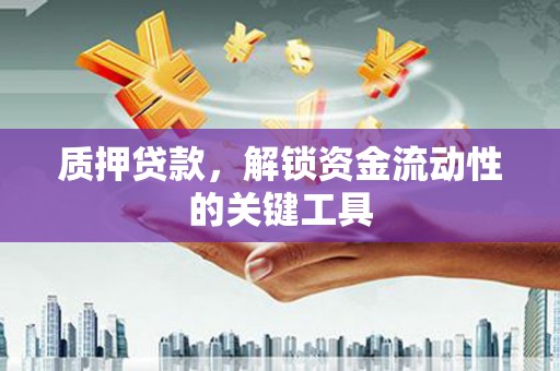 田寮质押贷款，解锁资金流动性的关键工具