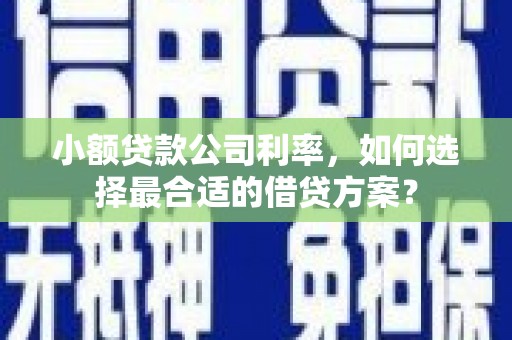 田寮小额贷款公司利率，如何选择最合适的借贷方案？