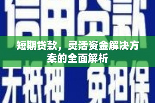 田寮短期贷款，灵活资金解决方案的全面解析