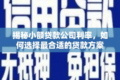 田寮揭秘小额贷款公司利率，如何选择最合适的贷款方案