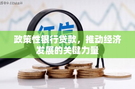 田寮政策性银行贷款，推动经济发展的关键力量
