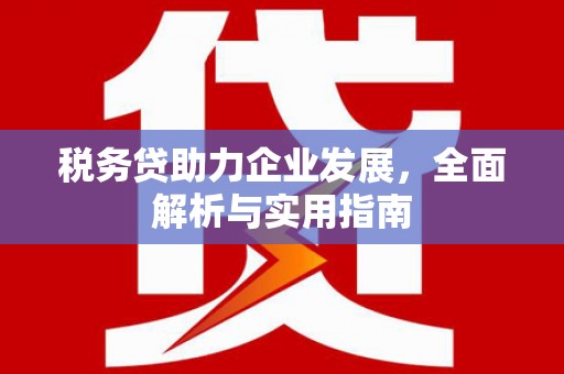田寮税务贷助力企业发展，全面解析与实用指南