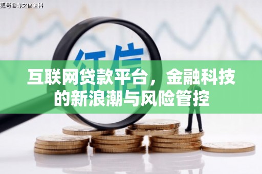 田寮互联网贷款平台，金融科技的新浪潮与风险管控